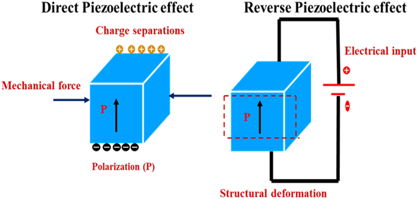  Direct and Reverse Piezoelectric Effect